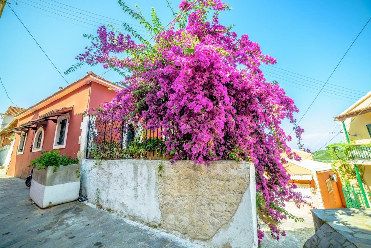 Menecrates Rustic - San Matteo Appartement Ágios Matthaíos Buitenkant foto