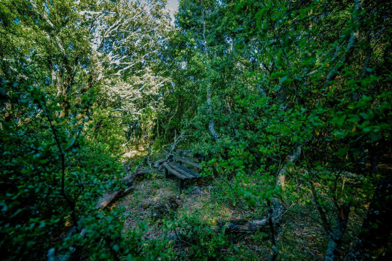 Menecrates Rustic - San Matteo Appartement Ágios Matthaíos Buitenkant foto